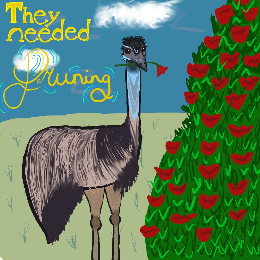 an emu steals a rose off of a rose bush with the text "they needed pruning"