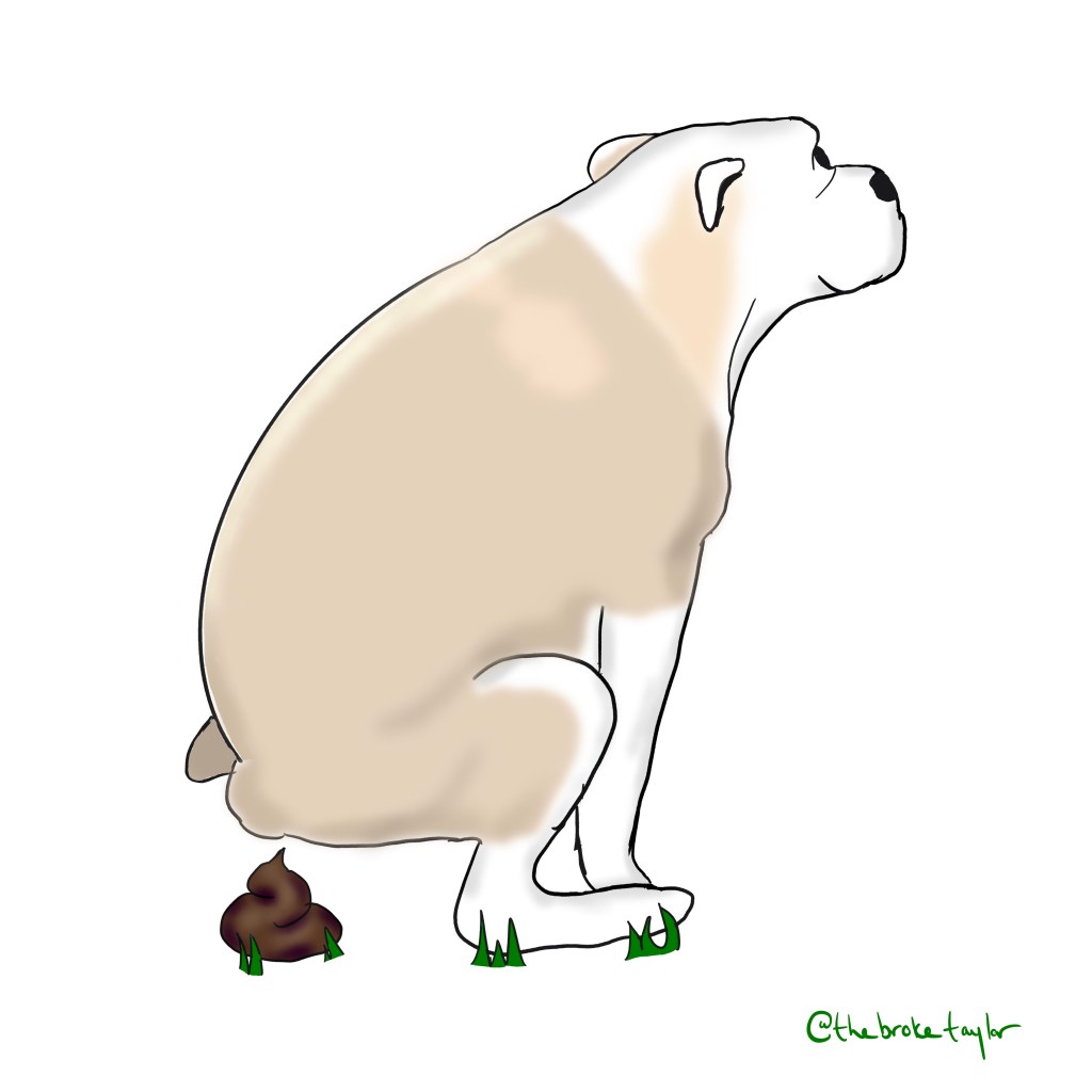illustration of a dog pooping